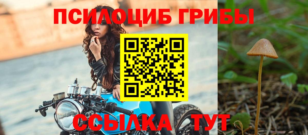 Галлюциногенные грибы Cubensis  Вход с VPN  Лабытнанги  Галлюциногенные грибы Psilocybine cubensis 